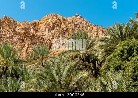 Landscape of Wadi Tiwi oasis with mountains and palm trees in Sultanate of Oman. Stock Photo