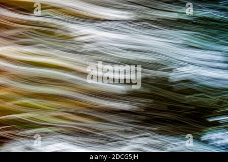 Light shining through trees in a forest blurred to abstract using intentional camera movement Stock Photo