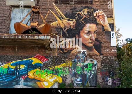 Mural by the Mexican painter and 3D artist Adry del Rocio, on an old harbour building, part of the Rhine Side Gallery in Krefeld, NRW, Germany, Stock Photo