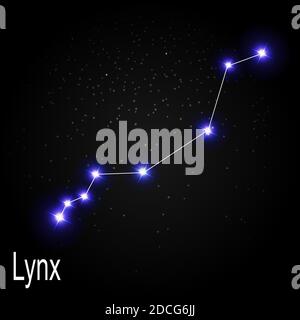 Lynx Constellation with Beautiful Bright Stars on the Background of Cosmic Sky Illustration Stock Photo