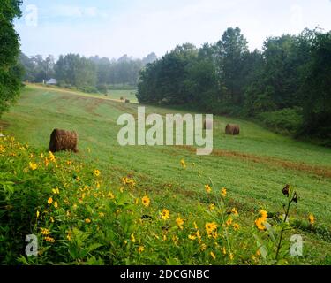 Farm along the Blue Ridge Parkway in Virginia Stock Photo