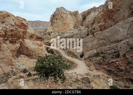 The famous Utah byways of Notom Road and the Burr Trail offer spectacular vistas and numerous interesting short hikes, Stock Photo