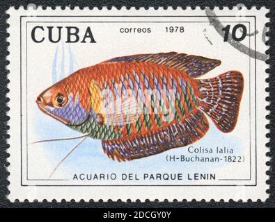 A stamp printed in Cuba shows a  aquarium fish Dwarf gourami (Colisa lalia),  series 'Aquarium of Lenin Park', 1978 Stock Photo