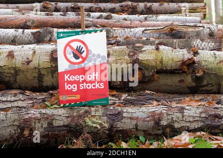 Keep Off Log Stacks Warning Sign By The Forestry Commission Fixed To A Pile Of Logs New Forest Hampshire England UK Stock Photo