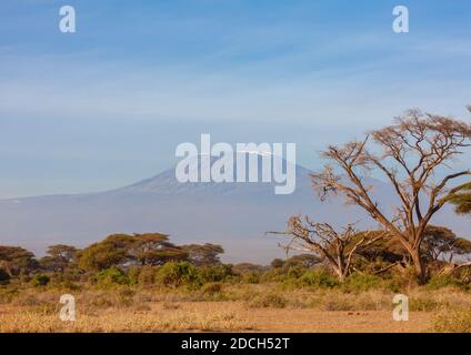 kilimanjaro view from the plain, Kajiado County, Amboseli park, Kenya Stock Photo
