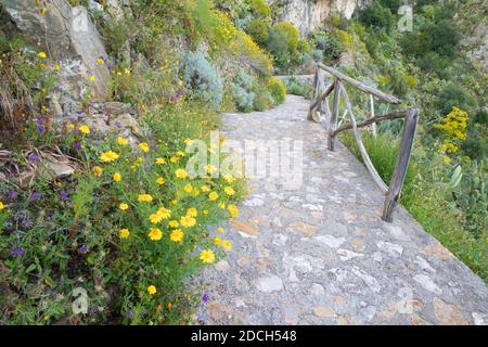 Taormina - The path among the spring mediterranean flowers. Stock Photo