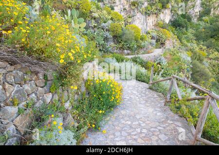 Taormina - The path among the spring mediterranean flowers. Stock Photo