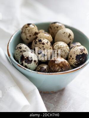 Quail eggs in green bowl, quail eggs, pile of quails eggs in bowl, small bowl full of little eggs, speckled eggs in bowl, quail eggs in bowl Stock Photo