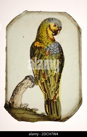 glass pane, Anonymous, 17th century, stained, General: 12.4 x 8.7 x 0.1cm 124 x 87 x 1mm, parrot, Rectangular glass pane with rounded corners, with a stained image of a parrot. The green bird sits on a tree stump, with its back to the viewer and its head turned, 1970 Stock Photo