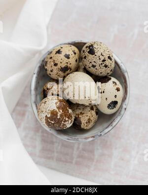 Quail eggs in white bowl, quail eggs, pile of quails eggs in bowl, small bowl full of little eggs, speckled eggs in bowl, quail eggs in bowl on white Stock Photo