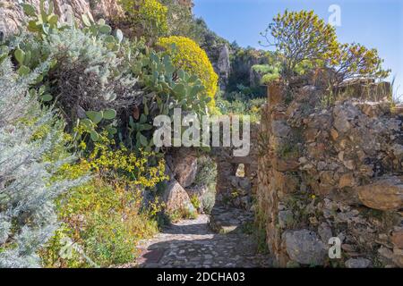 Taormina - The path among the spring mediterranean flowers. Stock Photo