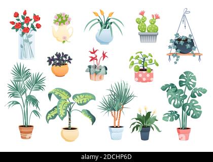 House plants home decor vector illustration set, cartoon flat potted plants and flowers collection of houseplants isolated on white Stock Vector