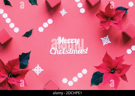 Poinsettia and fir twigs on pink background with white hexagons. Text Merry Christmas. Stock Photo
