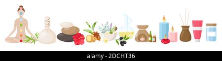 Ayurveda medicine vector illustration set. Cartoon flat medical ayurvedic collection with body care items, Stock Vector