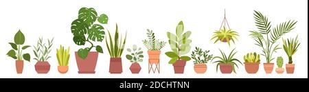 House plants home decor vector illustration set. Cartoon potted green plants flowers collection, houseplants in clay pot, hanging decorative Stock Vector