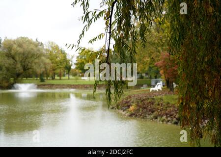 A selective focus shot of a willow branch with foliage over a small pond in an autumn park Stock Photo