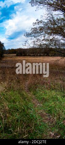 Walked bath through a grassy field down to the railroad tracks Stock Photo