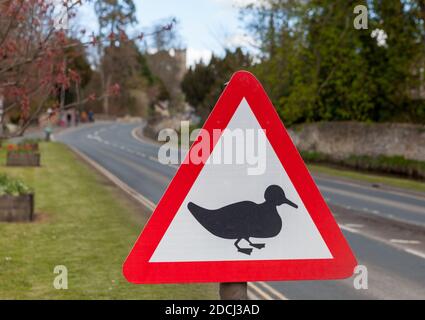 Ducks crossing warning sign on a country road at Thornton-le-Dale, North Yorkshire Stock Photo