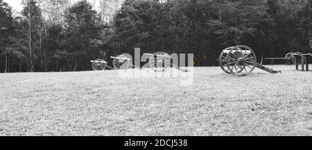 American Civil War battlefield, in black and white with a color splash of yellow from the leaves. Stock Photo