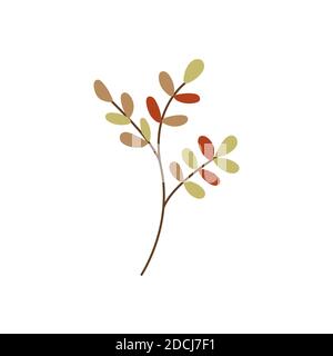 Autumn twig with colorful leaves vector flat illustration. Elegant simple branch isolated on white background Stock Vector