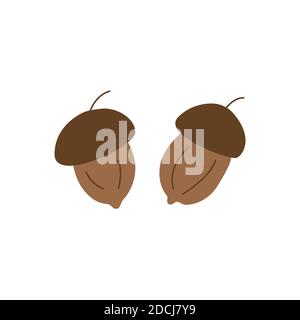 Acorns on a white background. Hand drawn vector design style isolated illustration. Autumn season. Oak Stock Vector