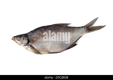 Dried salted fish isolated on white background Stock Photo