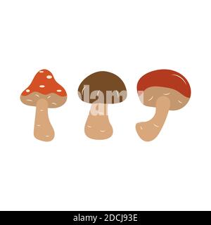 Mushrooms. Amanita, boletus, porcini mushroom. Autumn vector isolated illustration on a white background. Hand drawn Stock Vector