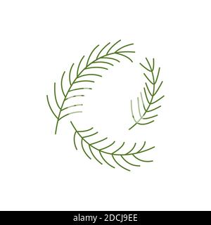 Spruce twigs. Set of three pine branches, evergreen tree. Line vector isolated. Christmas tree Stock Vector