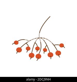 Sprig with rowan berries flat vector isolated. Simple autumn twig red color on white background Stock Vector