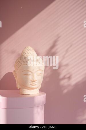 White Buddha bust on pastel pink background Stock Photo