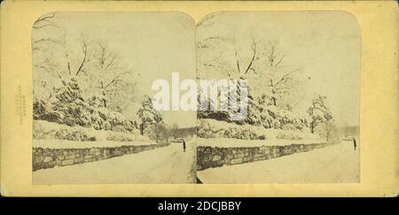 Warren St., Roxbury, april 3rd, 1861., still image, Stereographs, 1861, Barnum, Deloss Stock Photo