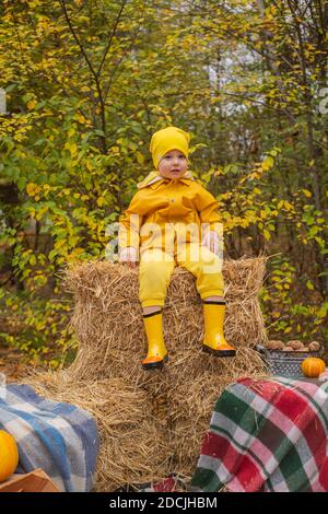 cute beautiful prescholer boy in an orange pants, raincoat, hat, rubber boots sitting on a pile of hay. Cosiness, autumn. Stock Photo