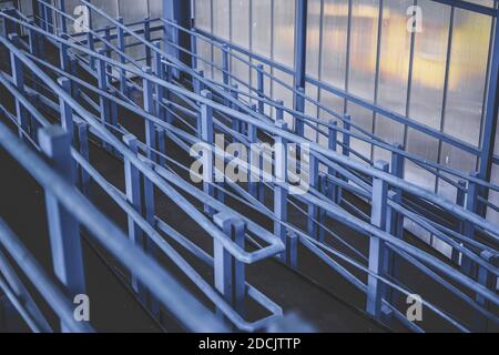 Overhead pedestrian crossing in the city. Light passes through plastic windows, metal is painted blue Stock Photo