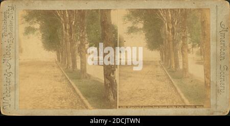 Woodward Avenue from Grand Circus Park., still image, Stereographs, 1895 Stock Photo