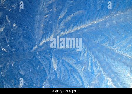 Ice pattern on a window Stock Photo