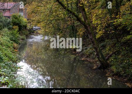 Trees display autumn colours on the banks of the River Frome at Frenchay Bridge in North Bristol. Stock Photo