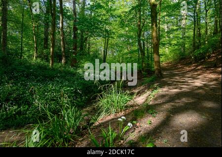 Worsley Station, Old Tyldesley Railway Loopline, Worsley, Manchester Stock Photo