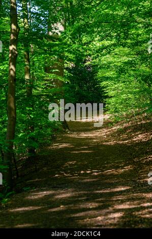 Worsley Station, Old Tyldesley Railway Loopline, Worsley, Manchester Stock Photo