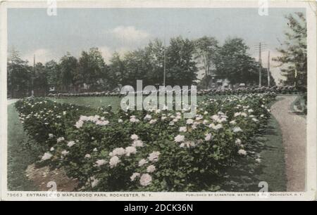 Entrance to Maplewood Park, Rochester, N. Y., still image, Postcards, 1898 - 1931 Stock Photo