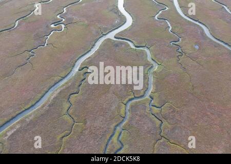 Narrow channels meander through a beautiful estuary in Central California. Estuaries form when freshwater runoff meets and mixes with seawater. Stock Photo