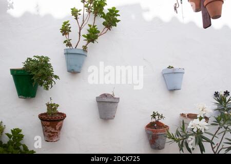 Colorful clay pots hanging on white wall decorating traditional house patio in Andalusia, Spain Stock Photo