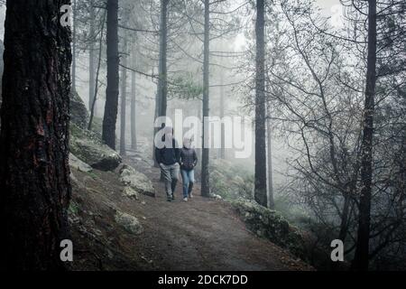 Young couple of hikers coming down forest path on heavy foggy day. People walk though woodland on cold winter morning in Roque Nublo natural park Stock Photo