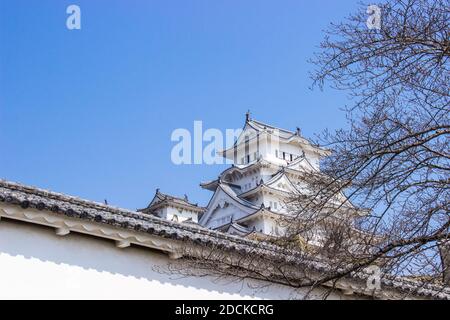 Himeji castle during sakura blossom time are going to bloom in Hyogo prefecture, Japan Stock Photo