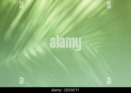 Light green concrete wall surface and cement background textures for interior or exterior decoration. Stock Photo