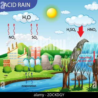 Diagram showing acid rain pathway illustration Stock Vector Image & Art ...