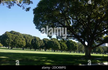 Los Angeles, California, USA 16th November 2020 A general view of atmosphere of actor/singer Dean Paul Martin's Grave at Los Angeles National Cemetery on November 16, 2020 in Los Angeles, California, USA. Photo by Barry King/Alamy Stock Photo Stock Photo
