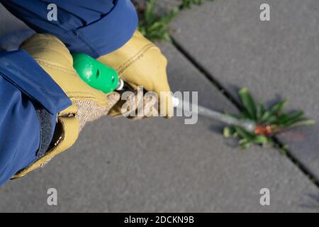 Burning weed out from plate joints with a weed burner Stock Photo