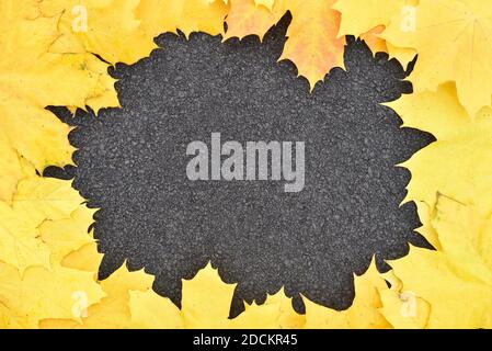 Frame made of autumn leaves on the asphalt Stock Photo