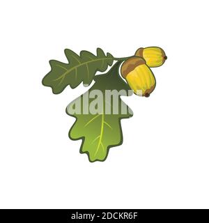 Realistic oak leaf and fruit design illustration vector eps format , suitable for your design needs, logo, illustration, animation, etc. Stock Vector