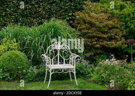 White metal seat,wrought iron chair,seat,seating,garden,gardens,miscanthus,grass,grasses, display,displays,gardening,formal garden,ornate garden seat, Stock Photo